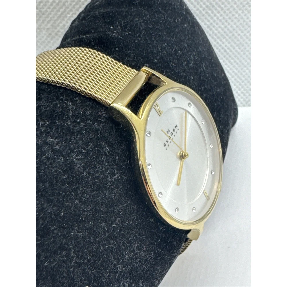 Skagen Anita Lille SKW2150 Women's Gold Stainless Steel Mesh Analog Watch AEA309